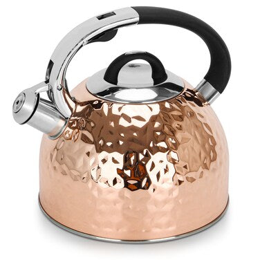 Fissman Whistling Kettle Nicole 2.5 Ltr (Stainless Steel)