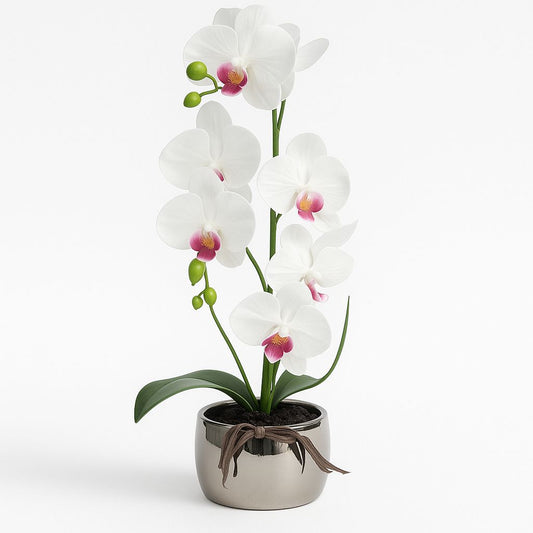 Artificial Decorative Orcid 3H