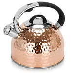 Fissman Whistling Kettle Nicole 2.5 Ltr (Stainless Steel)