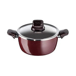 Tefal Pleasure Stewpot With Lid - 26Cm