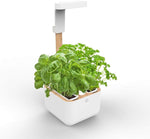 Veritable Botaneo Eylo Garden Indoor Garden Kit 2L