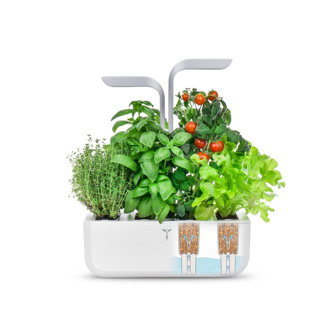 Veritable Smart Indoor Garden - Arctic White