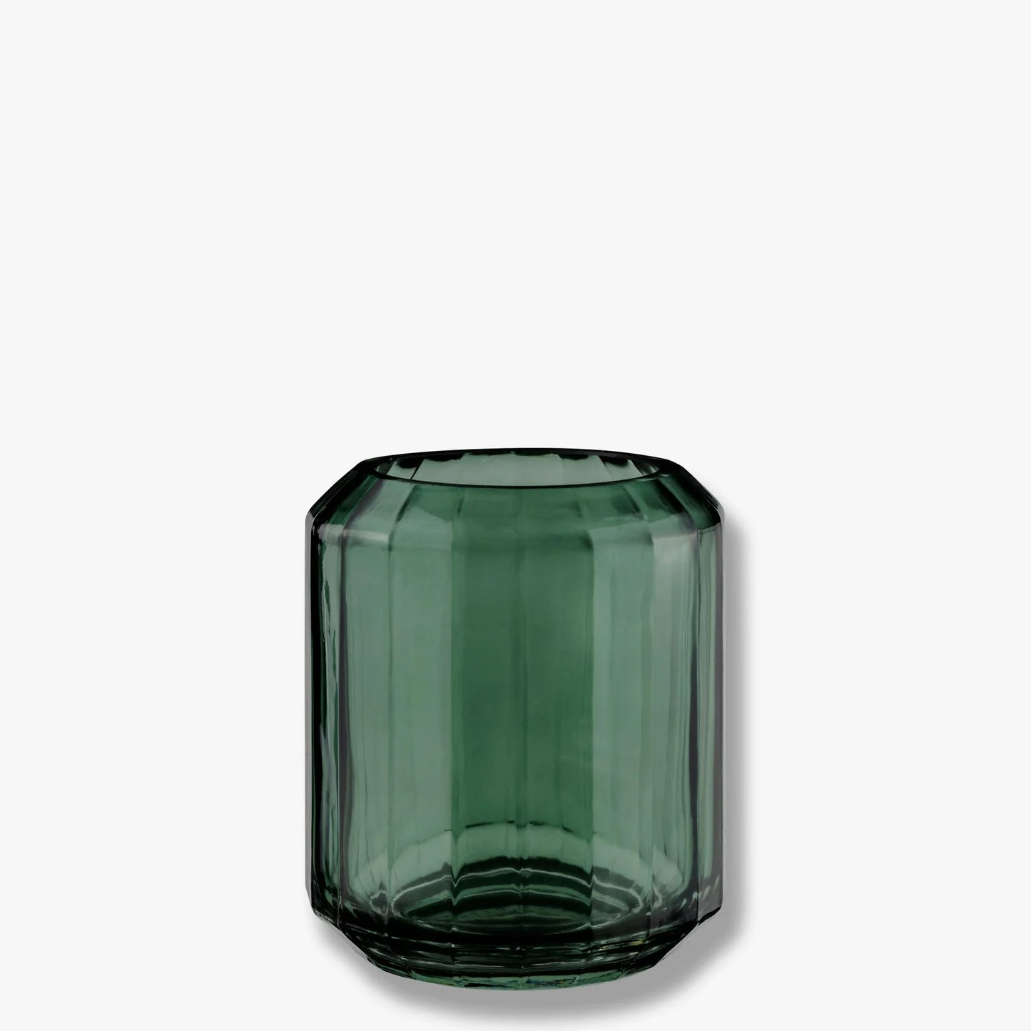 Vision Tooth Brush Holder Dark Forest