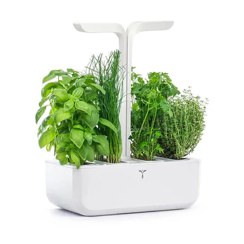Veritable Classic 4 Slot Indoor Garden Arctic White