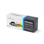 Veritable Lingot Pansy