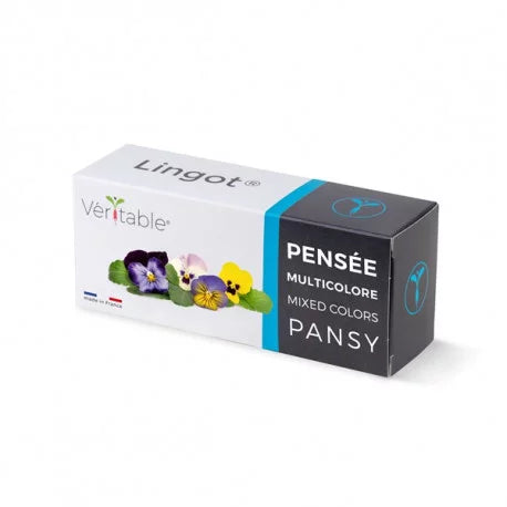 Veritable Lingot Pansy