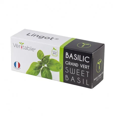 Veritable Lingot Organic Sweet Basil 30 Graines