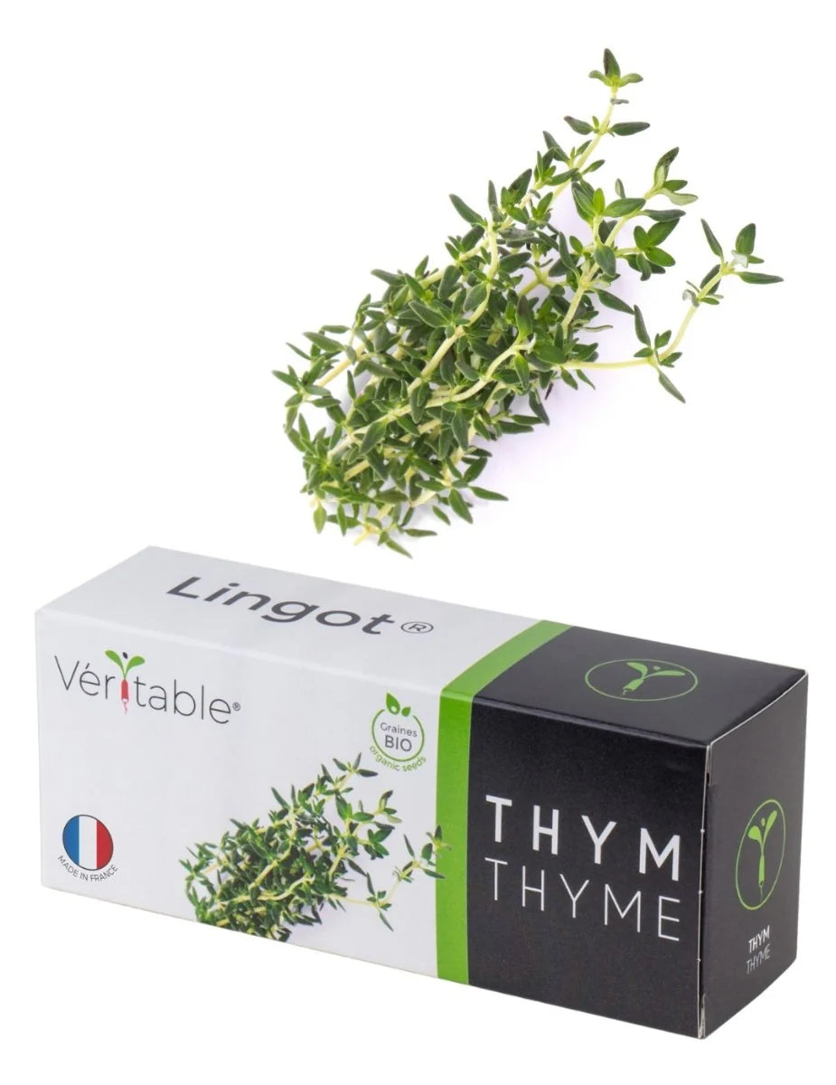 Veritable Lingot Organic Thyme 40 Graines