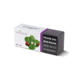 Veritable Lingot Red Wild Strawberry