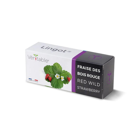 Veritable Lingot Red Wild Strawberry